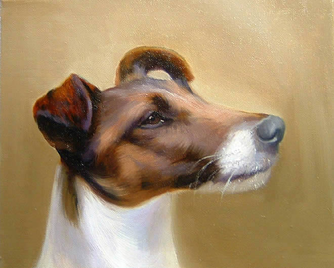 Terrier